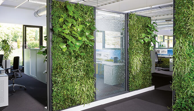 上海辦公室綠化裝修配置要求