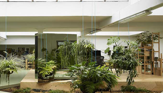 上海辦公室綠化裝修